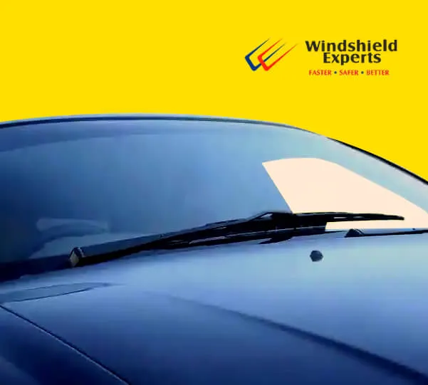 Windshield